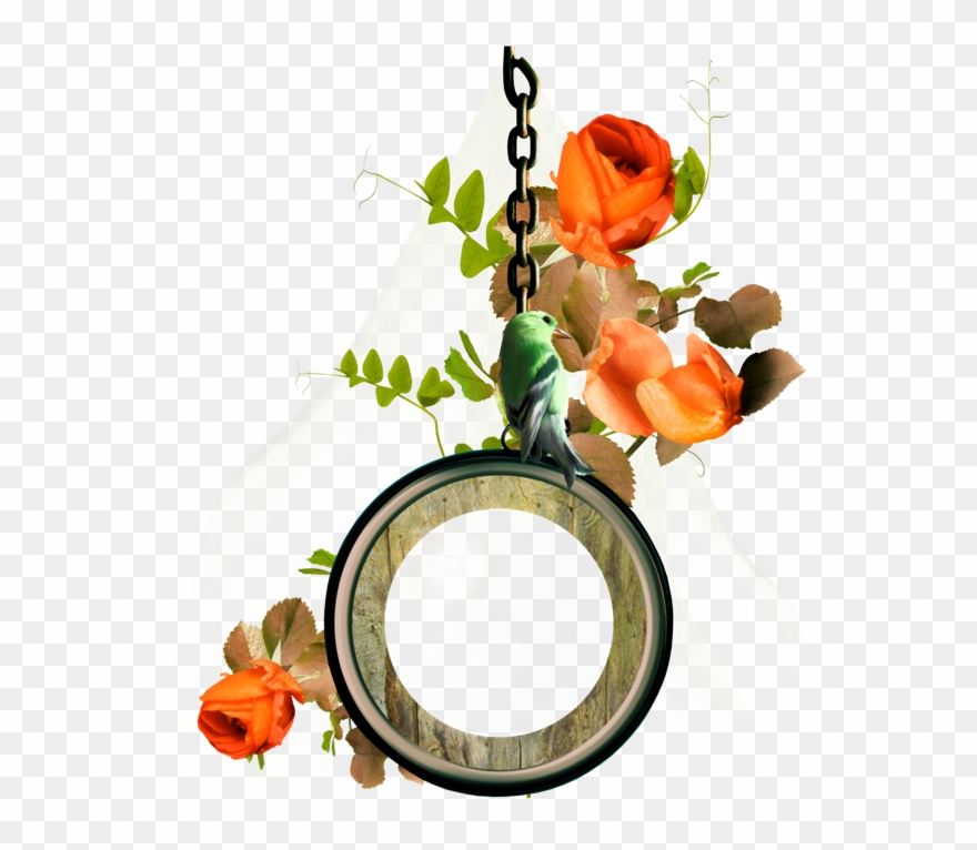 Cluster Bird And Flowers - Цветы Оранжевые В Круг Clipart