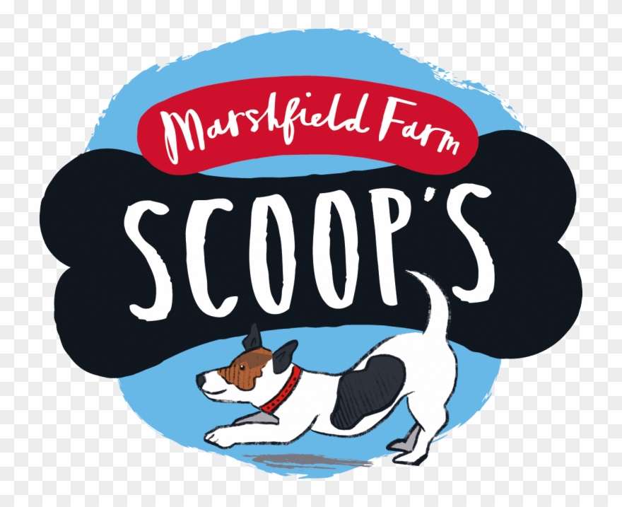 We're Proud To Offer A New Range Of Point Of Sale For - Scoops Dog Ice Cream Clipart