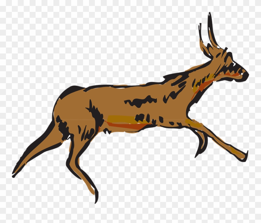 Pronghorn Antelope Clipart Animated - Deer Vector Running Gif - Png Download