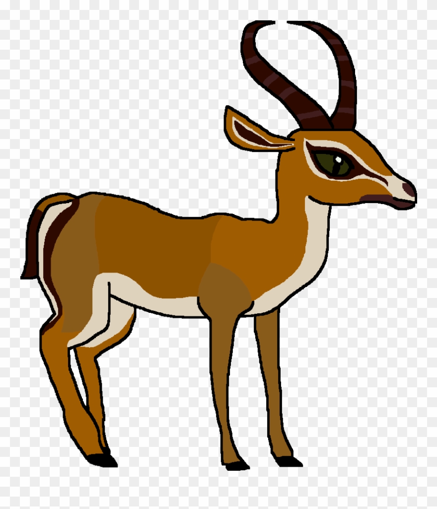 Gazelle Clipart Springbok - Springbok Clipart - Png Download