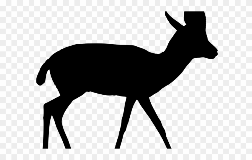 Gazelle Clipart Pair Animal - Illustration - Png Download