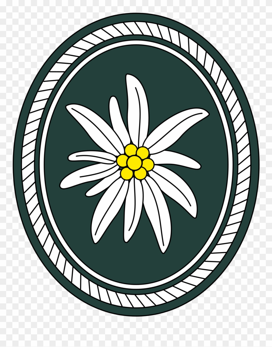 Image Royalty Free Download Chamomile Drawing German - Bundeswehr Gebirgsjäger Abzeichen Clipart
