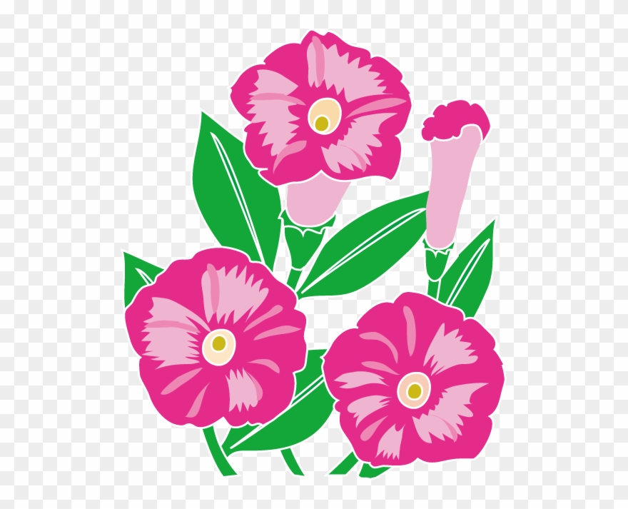 夏の花3 17 ペチュニアイラスト Flower Art, Art Flowers, Clip - ペチュニア イラスト 無料 - Png Download