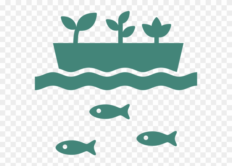 Economic Decision Cliparts - Aquaponic Icon Png Transparent Png