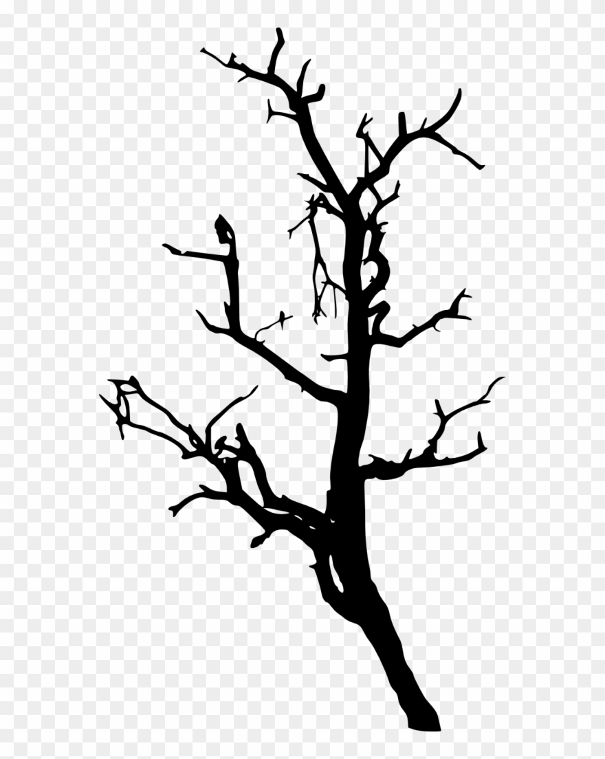 Pine Trees Forest Silhouette - Transparent Tree Silhouette Pine Clipart