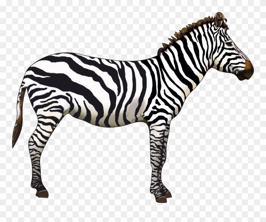 Which Animals Can You Name - Zebra Clipart