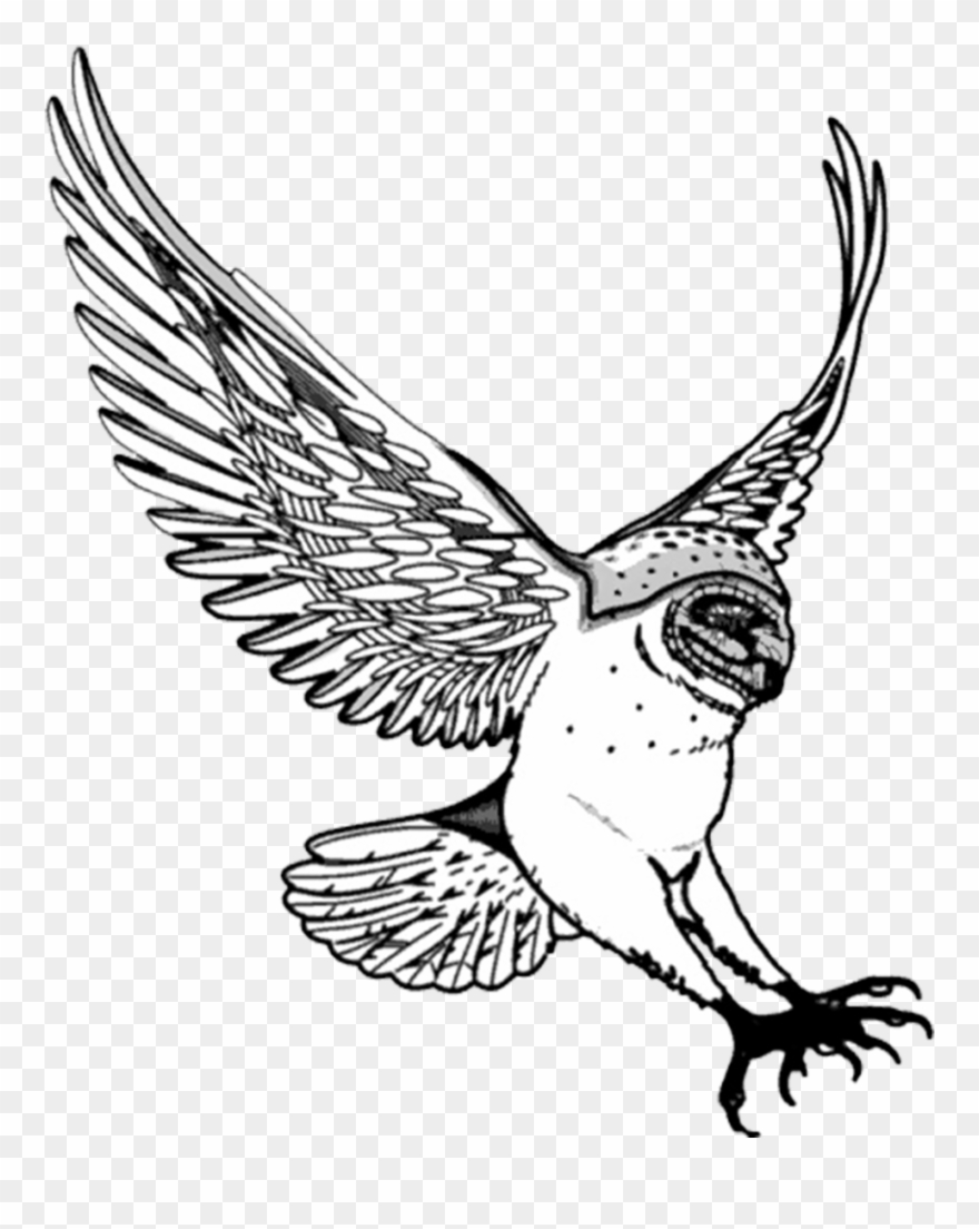 Nursery Drawing Flying - Swooping Owl Clipart - Png Download