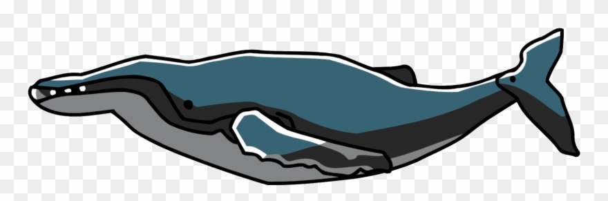 Humpback Whale Clip Art - Png Download