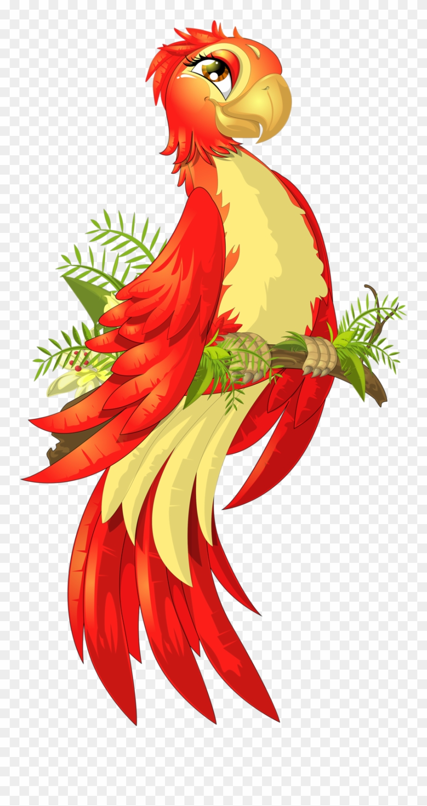 Фото, Автор Soloveika На Яндекс - Parrot Clipart