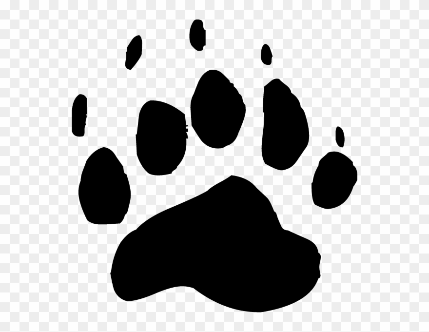 Bear Paw Clipart Transparent - Png Download