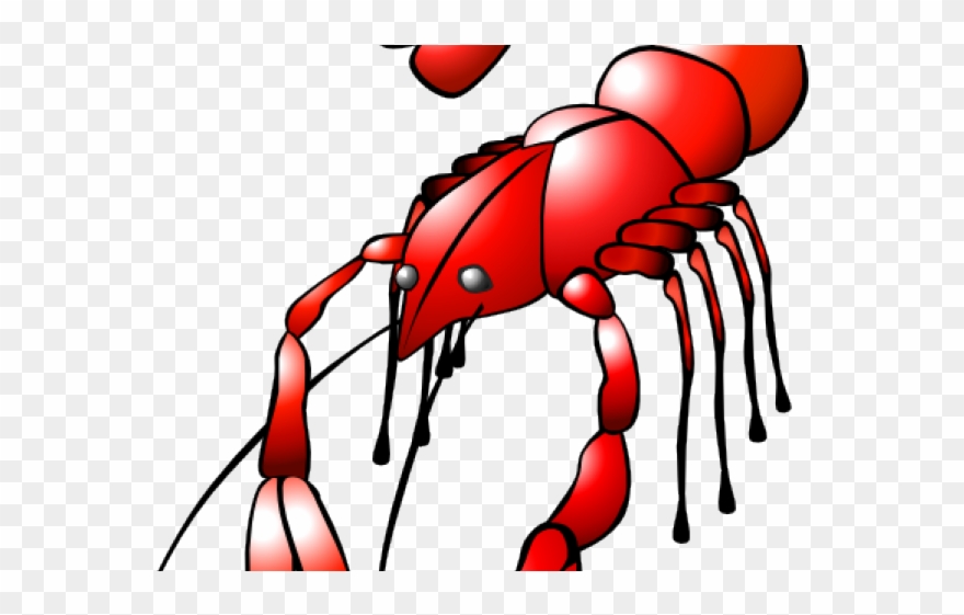 Image Transparent Library Crustacean Free On Dumielauxepices - Crawfish Clip Art - Png Download