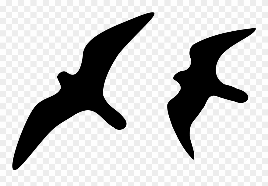 Silueta De Halcon Peregrino Clipart
