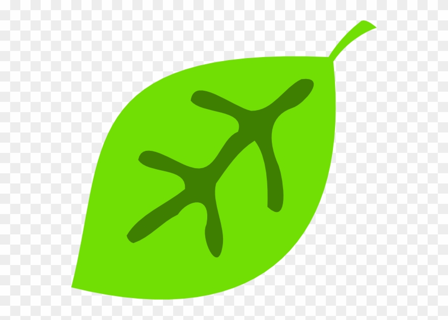 Cute Leaf Clipart - Cute Leaf Clipart Png Transparent Png