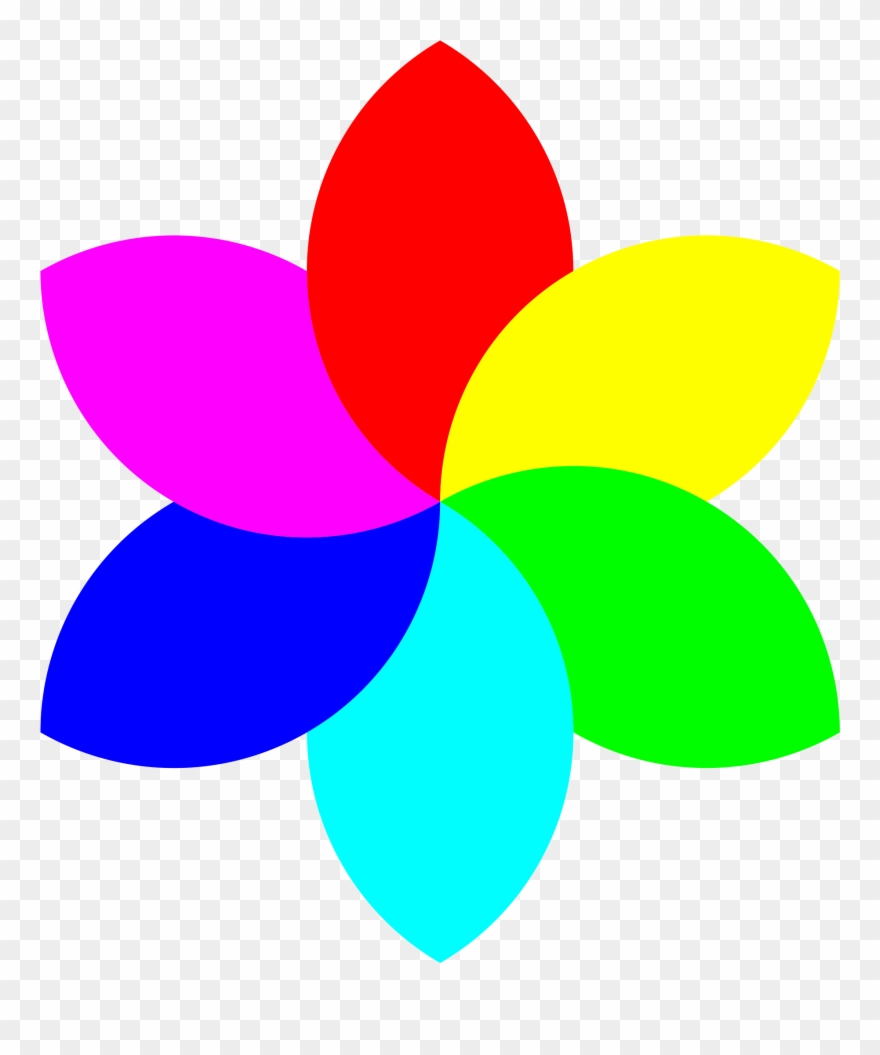 Simple Clip Art 6 Medium Size - 6 Petal Flower - Png Download