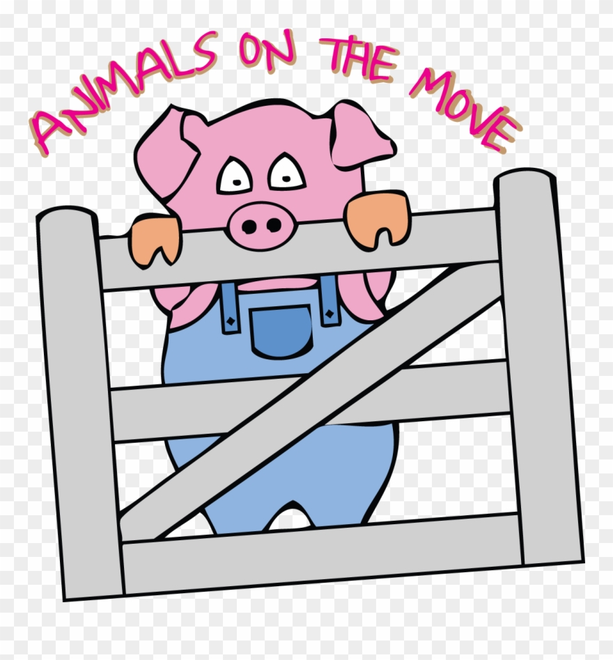 Educational Pet Parties & Bring Our Animals, Marsupials - Cartoon Clipart