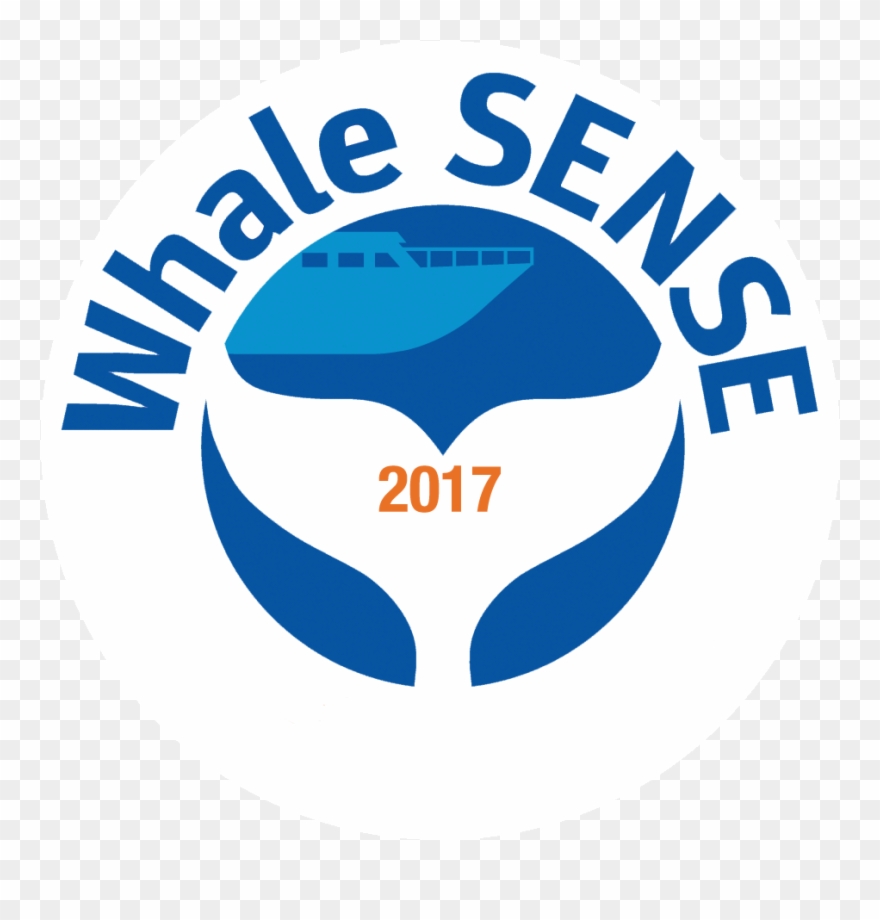 Whalesense Generaldecal-2017 - Logo De Kard Kpop Clipart