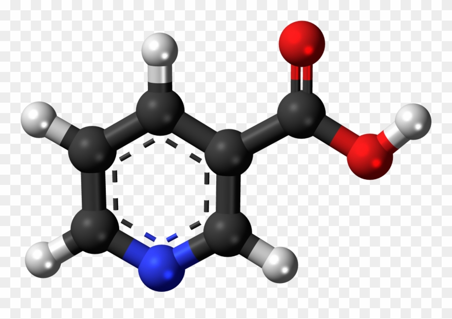 It Is An Important Vitamin As It Participates In Over - Amine Compounds (chemical Compounds) Clipart