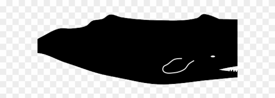 Humpback Whale Clipart Shadow - Sperm Whale Free Vector - Png Download