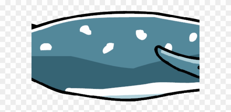 Humpback Whale Clipart Scribblenauts - Beaked Whale - Png Download