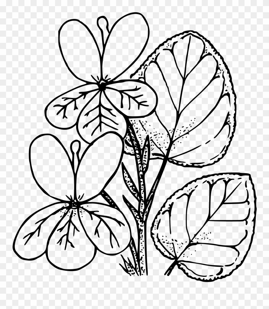 Big Image - Black And White Violet Png Clipart