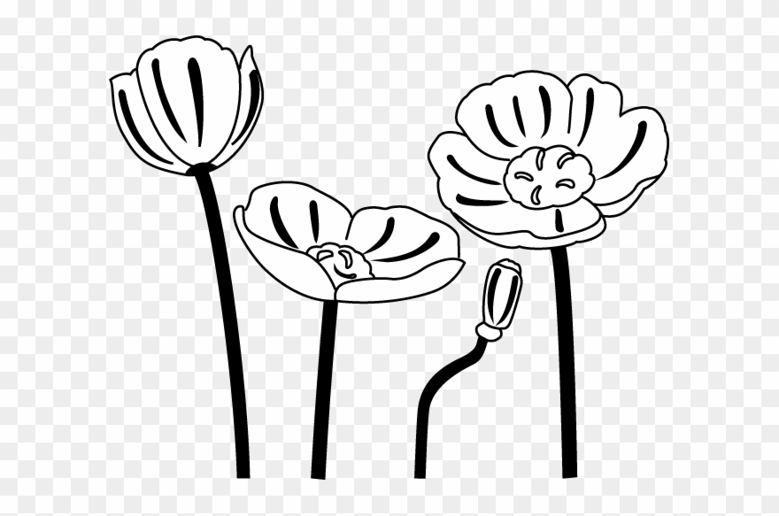 Foresight - Clipart - Poppy Is Clip Art Black And White - Png Download