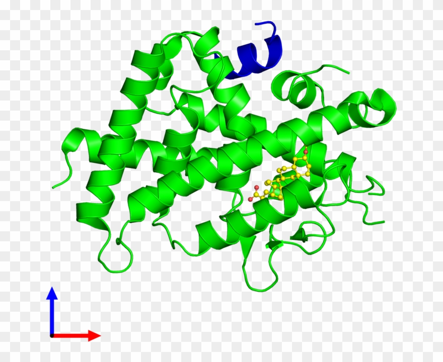 Protein Data Bank Clipart