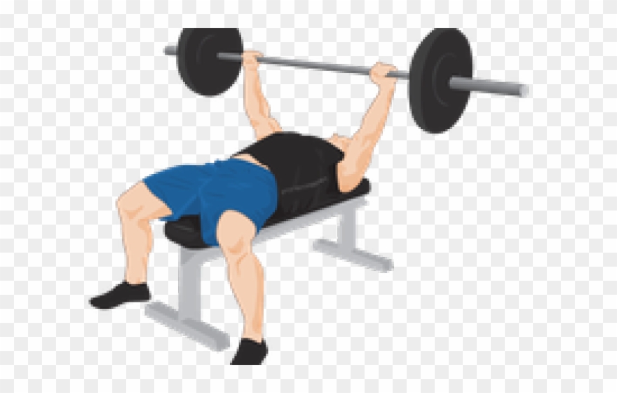 Bench Press Clipart