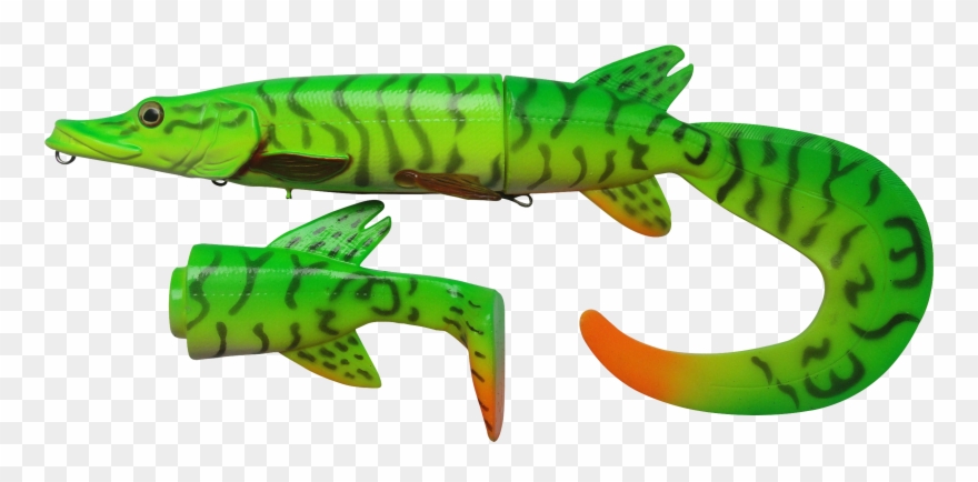 Transparent Eel Baby Green Clipart