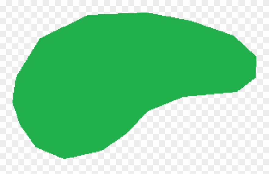 All Photo Png Clipart - Clip Art Transparent Png