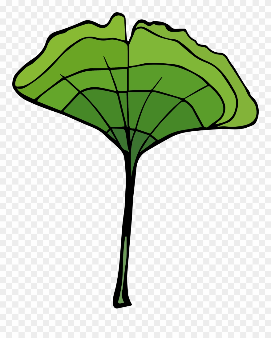 #ginkoleaf From The #efrstickers Nature Sticker Sheet Clipart