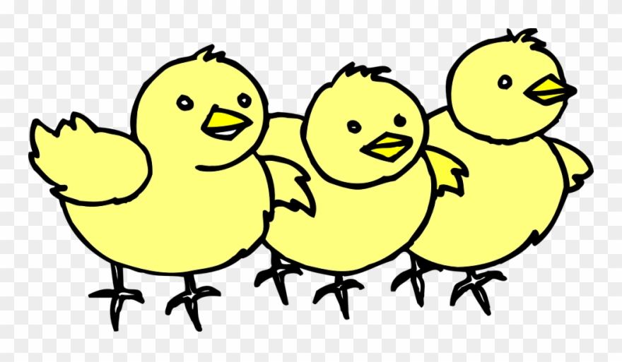 Chick Clipart Lpsk - Chicks Clipart - Png Download