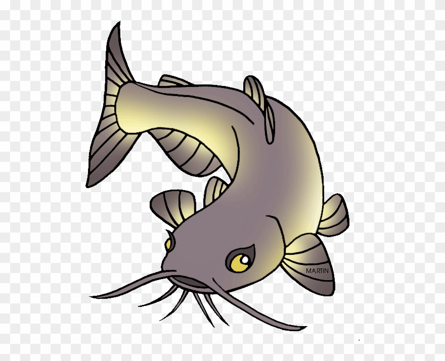 United States Clip Art By Phillip Martin, Nebraska - Cartoon Picture Of Catfish - Png Download