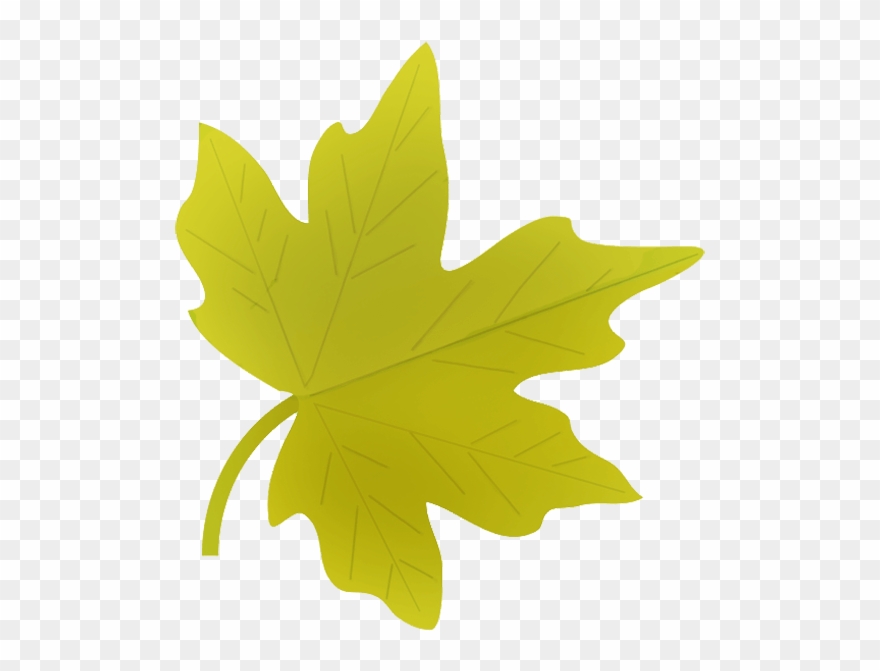 Maple Leaf Clipart - Autumn Leaves Clipart Png Transparent Png