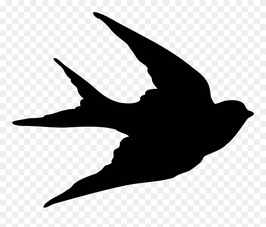 Swallow Png - Irymple Primary School Clipart