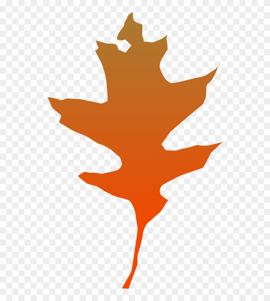 All Photo Png Clipart - Clip Art Transparent Png