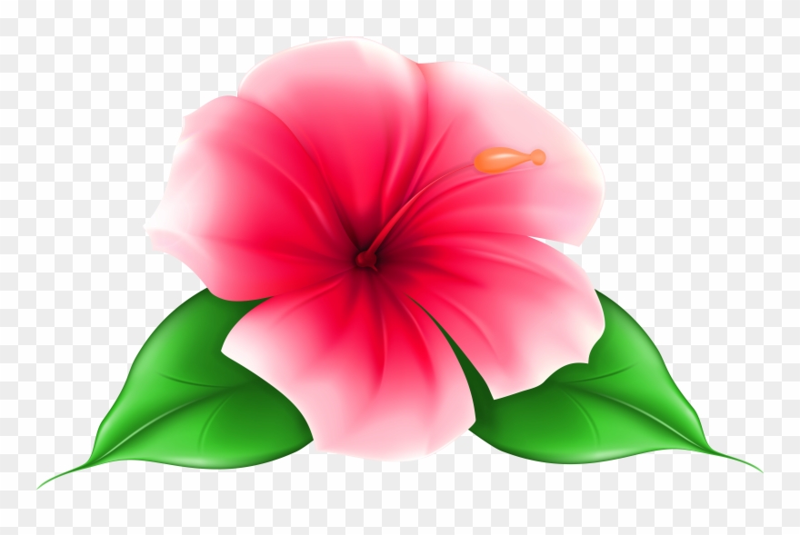Exotic Flower Png Clip Art Imageu200b Gallery Yopriceville - Transparent Background Flower Png