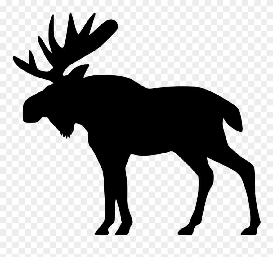 19 - Moose Clip Art - Png Download