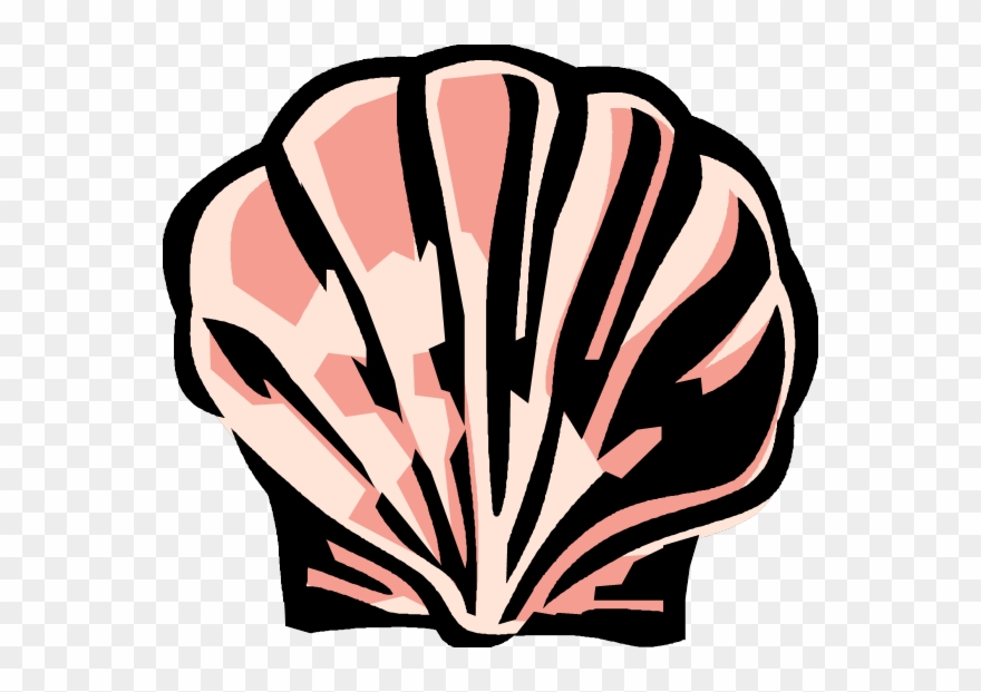 Baptisms Emmanuel Church - Oyster Shell Clip Art - Png Download