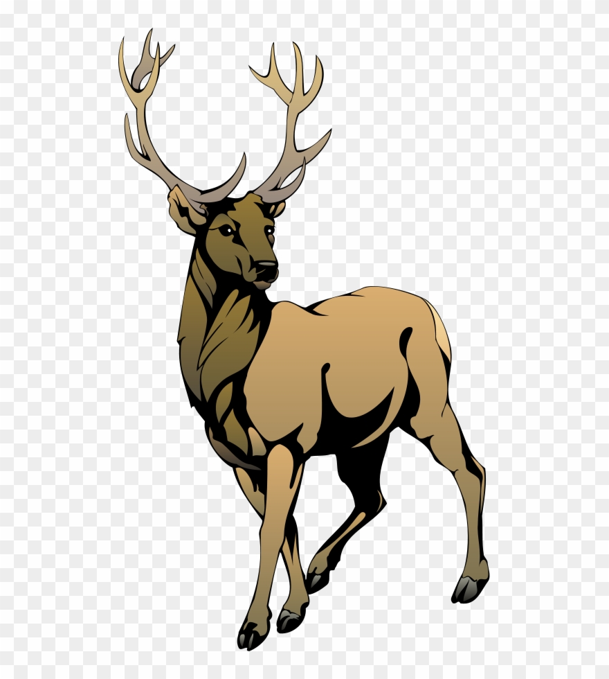 Stag Clipart Clip Art - Stag Images Clip Art - Png Download
