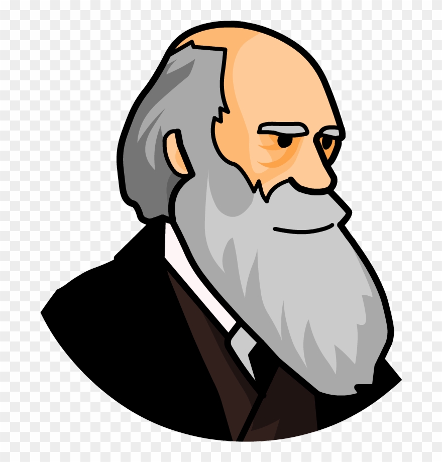 Search Results - Evolution Real Clipart