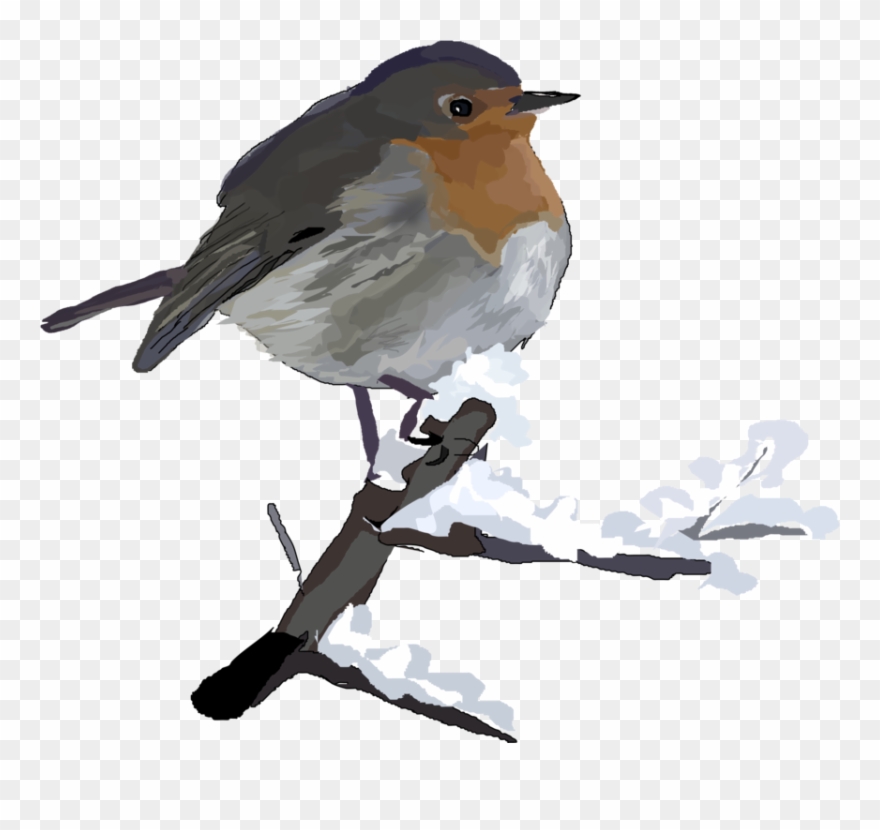 European Robin American Robin Clip Art Christmas - Snowy Birds Clip Art - Png Download
