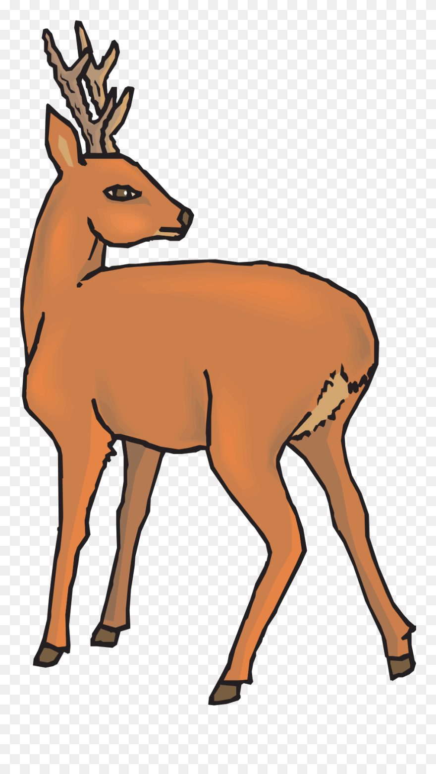 Deer Clip Art - Daini Png Trasparente Transparent Png
