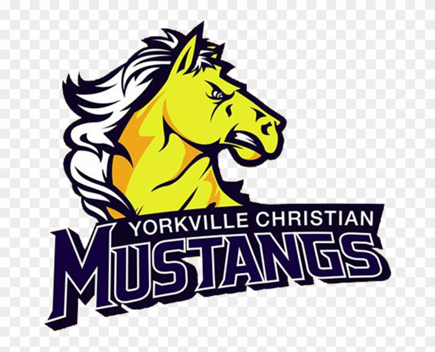 Clip Library Library Church Board Meeting Clipart - Mustang Basketball - Png Download