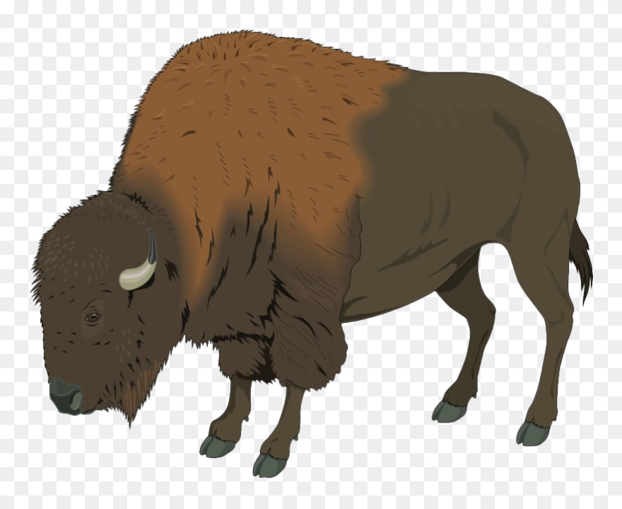 Bison Clip Art - Buffalo Clip Art - Png Download