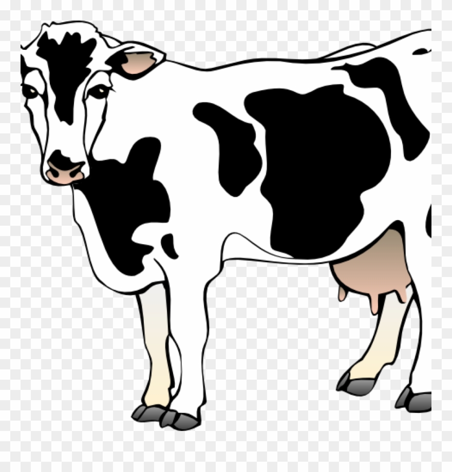 Free Cow Clipart Cow Clipart Cow 11 Clip Art Vector - Clipart Of Cow - Png Download