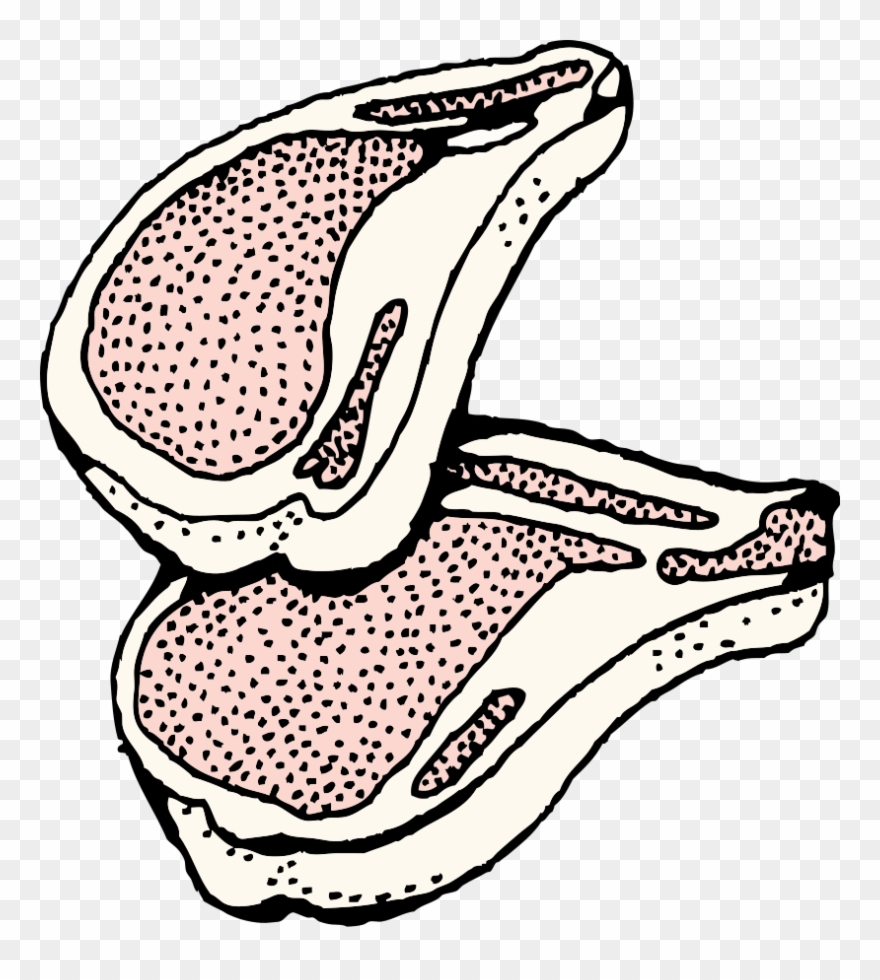 Free Vector Pork Chops Clip Art - Chuleta De Cerdo Dibujo - Png Download