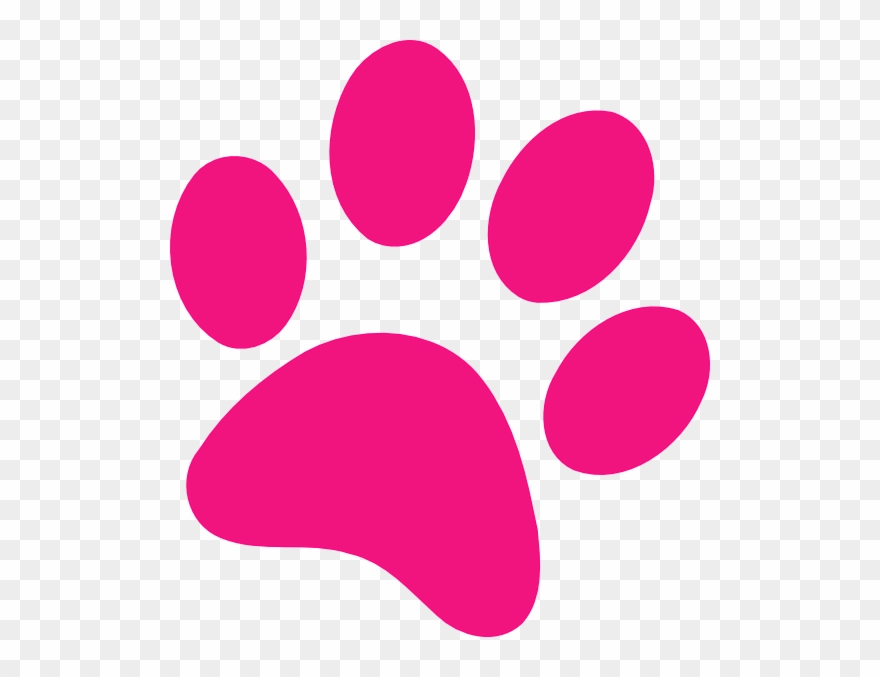 Pink Clipart Paw Print - Hot Pink Paw Print - Png Download