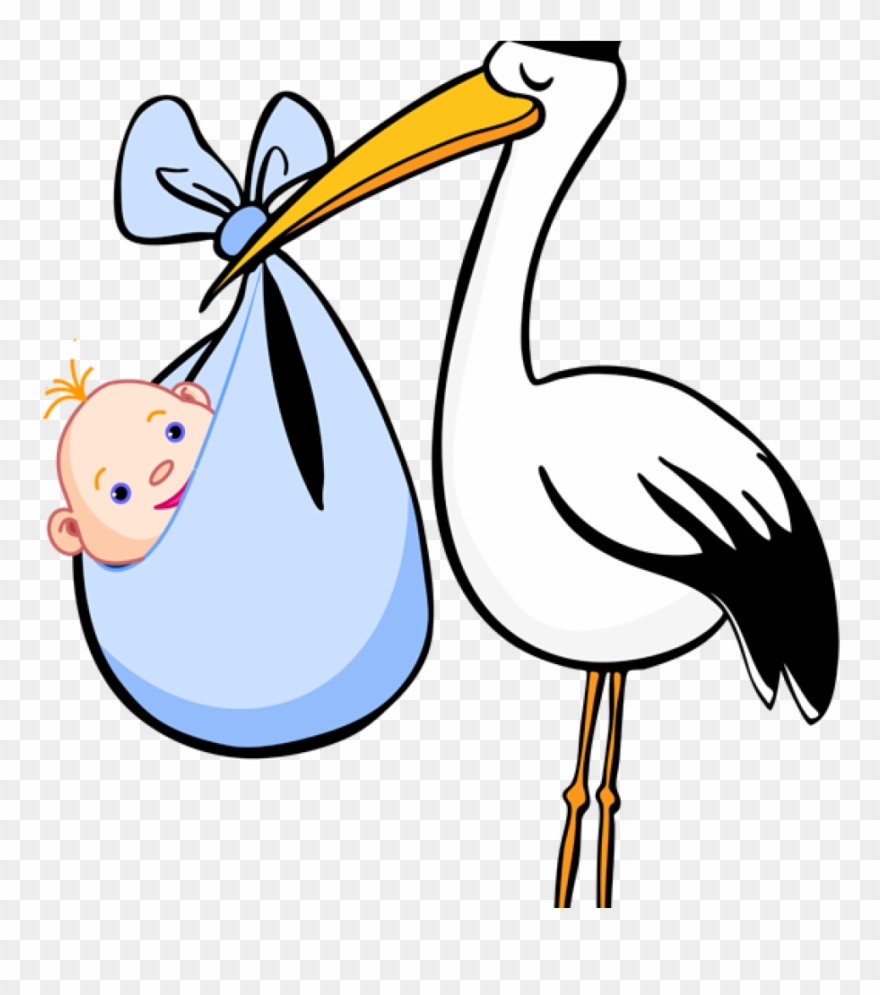 Stork Clipart Free Clip Art For Birth Announcements - Stork Bird Baby - Png Download