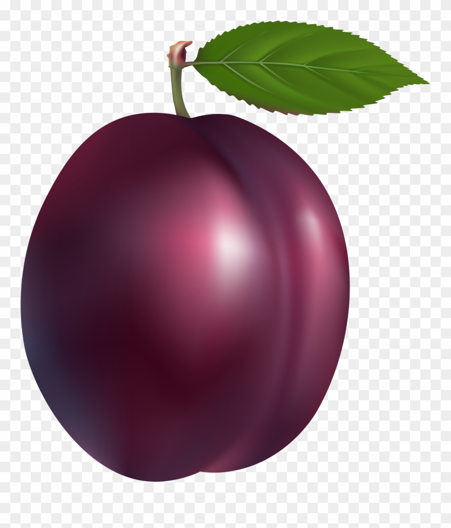 Plum Png Clip Art - Clip Art Transparent Png