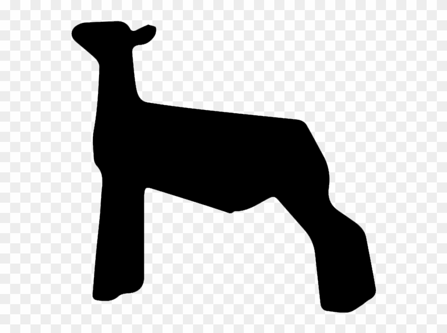 If You Found This Page By Searching For Show Lamb Clip - Club Lamb Silhouette - Png Download